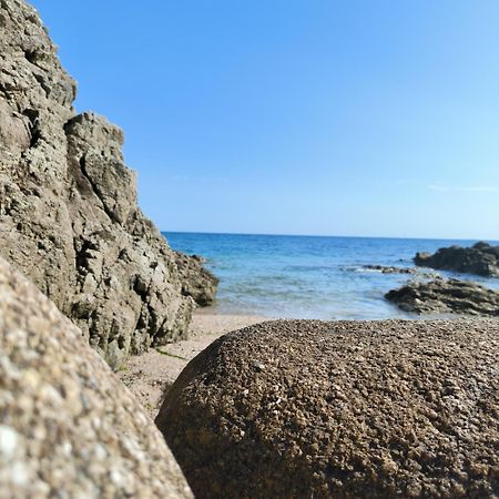 La Suite Appartement Pleine Vue Mer Concarneau Exterior foto